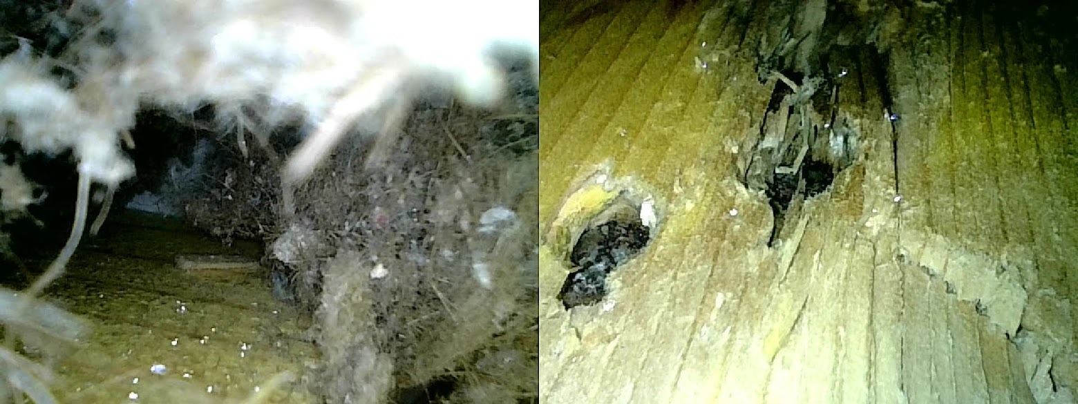 WhatsApp Image 2022-09-03 at 17.25.26 (3).jpeg