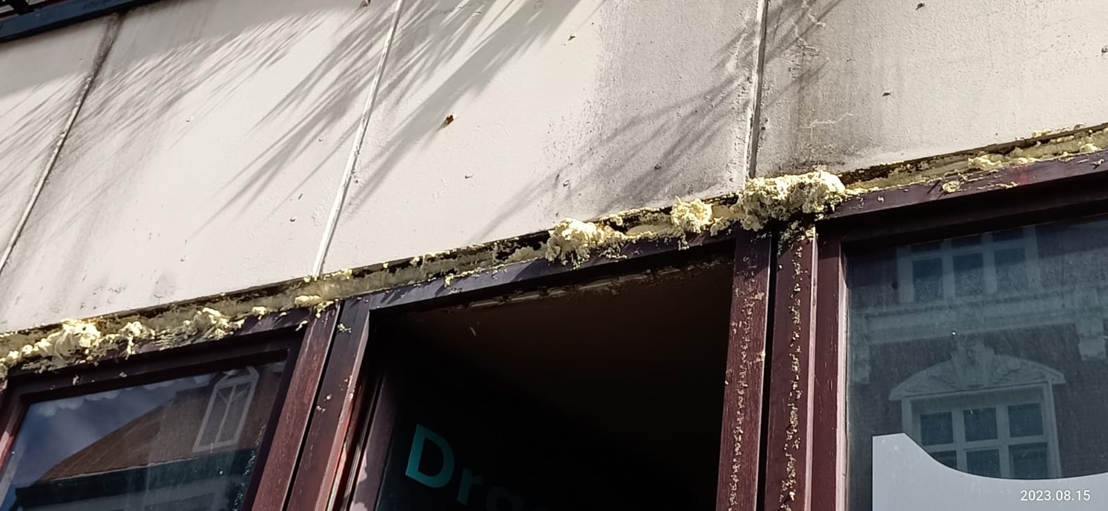 WhatsApp Image 2023-08-15 at 11.52.34.jpeg