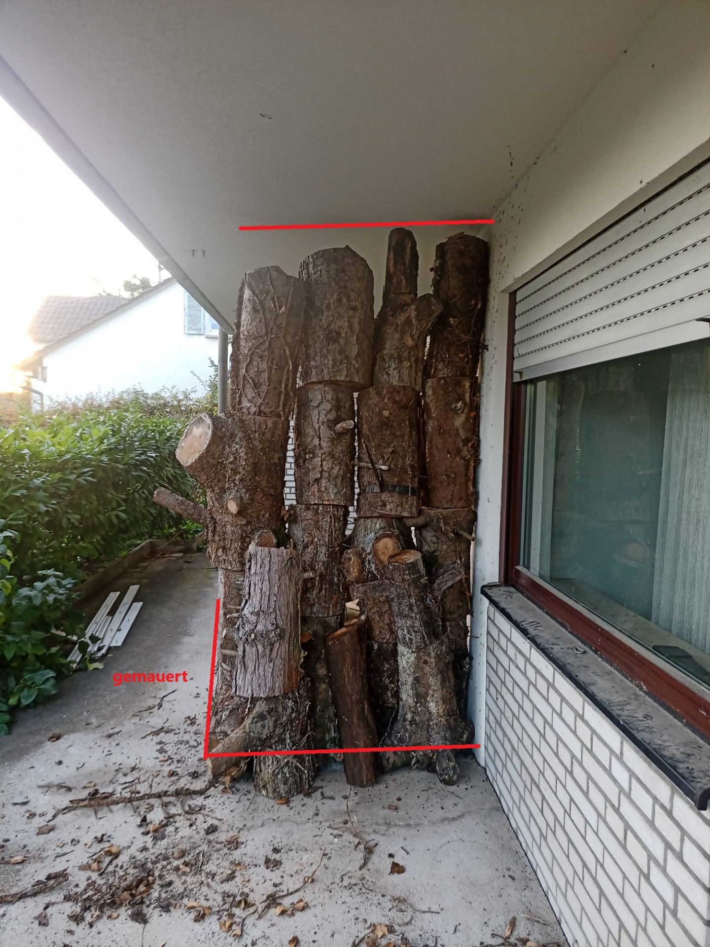 WhatsApp Image 2024-10-20 at 02.03.57 (1)_bear.jpg