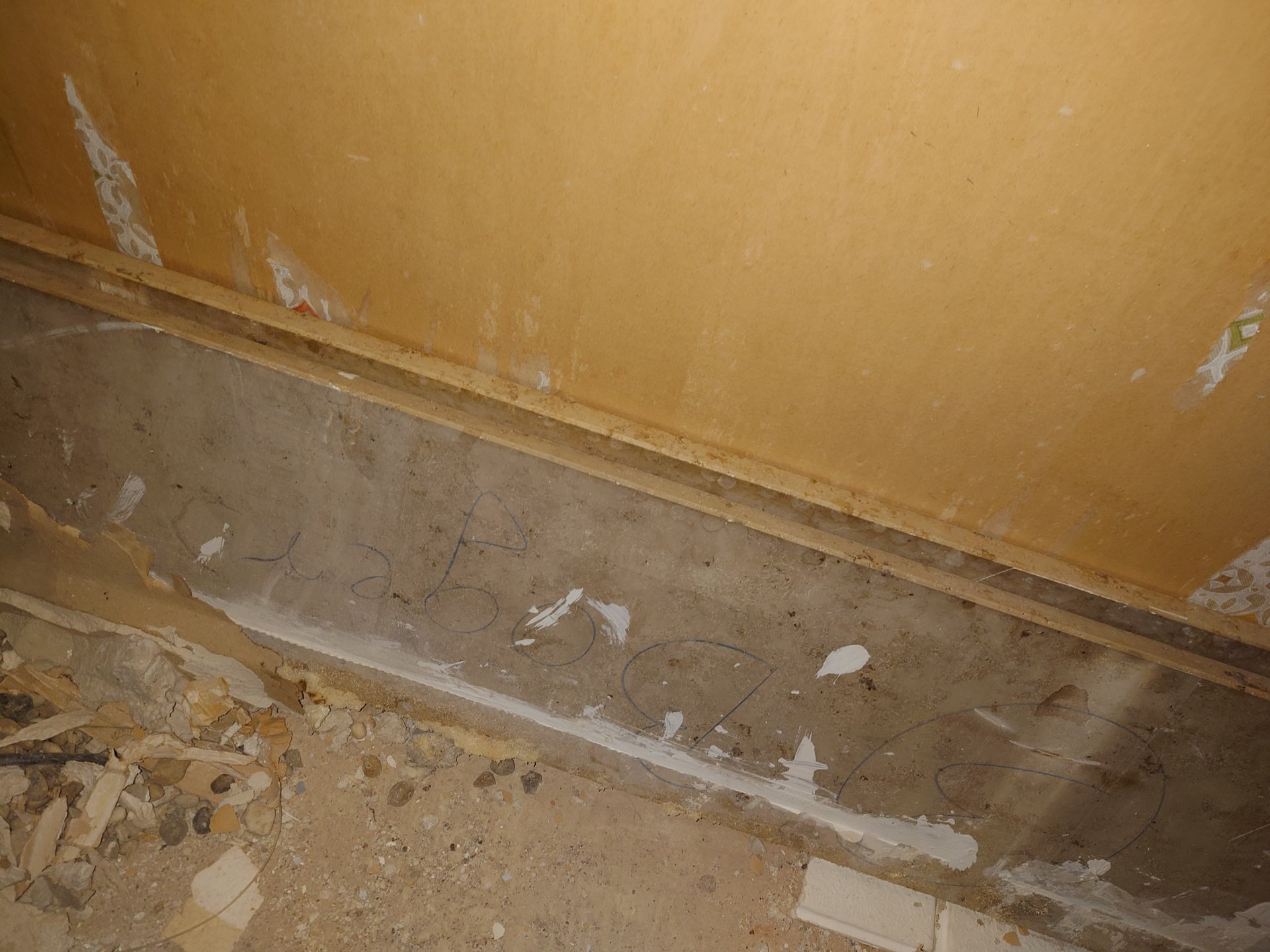 WhatsApp Image 2024-12-16 at 21.19.20.jpeg