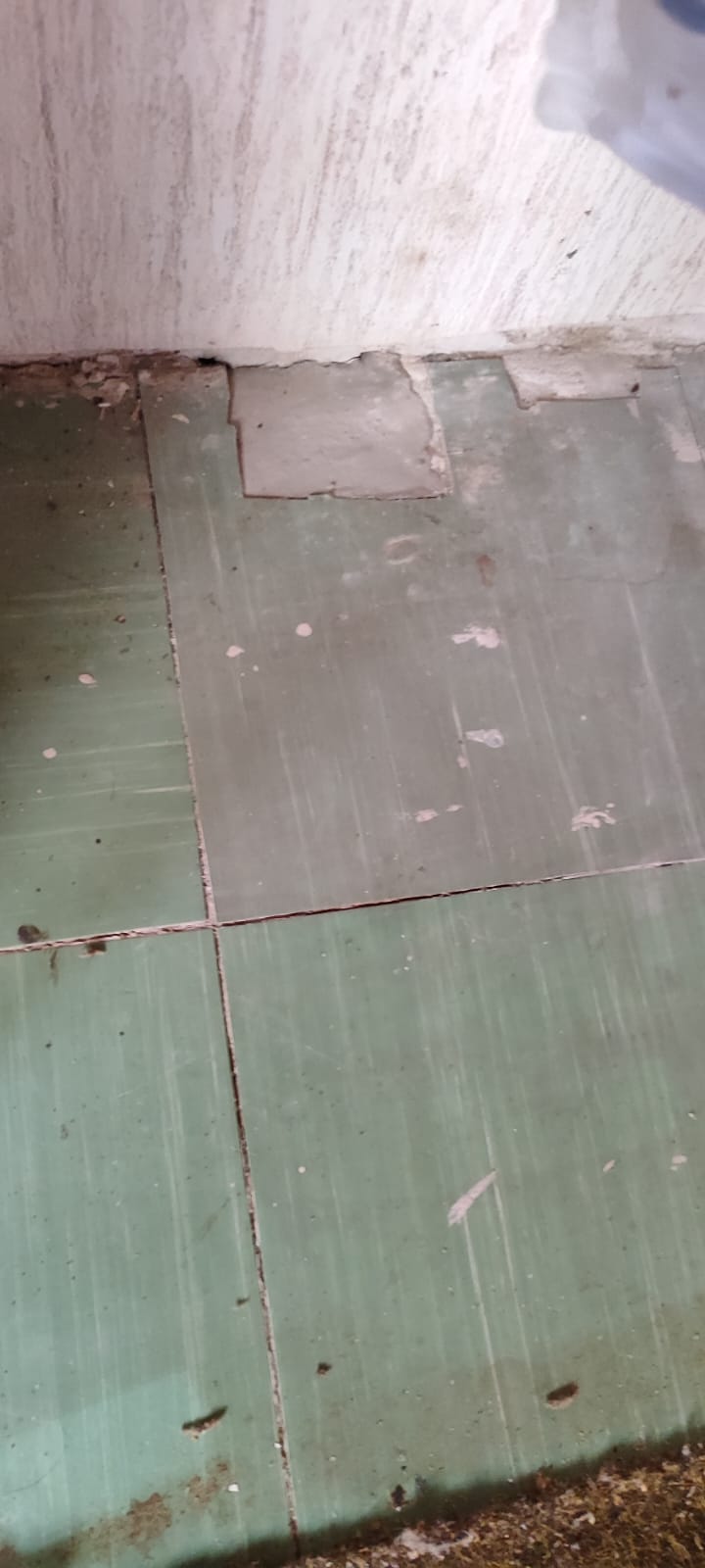 WhatsApp Image 2026-03-23 at 13.03.30.jpeg