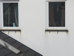 IMG_0847.jpg