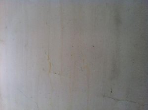 IMG_0718.jpg