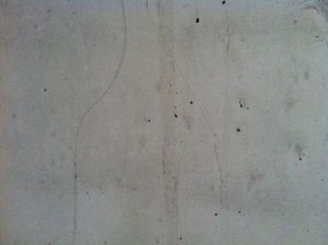 IMG_0724.jpg