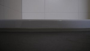 SL553465.jpg