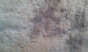 IMAG0342.jpg