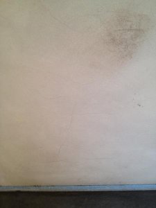 IMG_0239.jpg