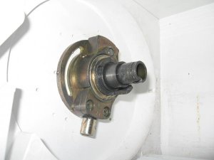 IMG_5683.jpg