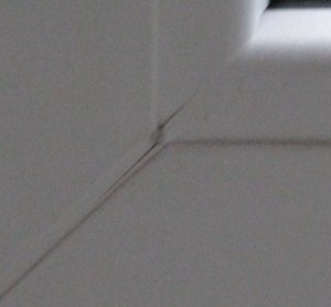 IMG_3705.JPG