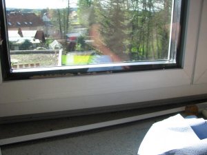 IMG_3909.jpg