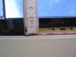 IMG_3907.jpg
