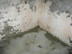 IMG_9328.jpg