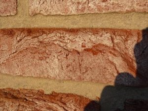 Detail Westseite.jpg