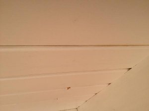 IMG_2191.jpg