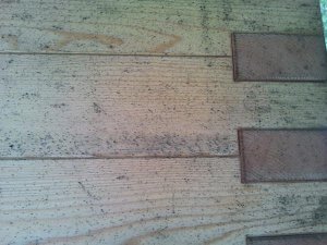 2012-06-09 14.56.45.jpg