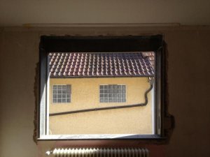 IMG_0367.jpg