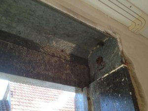 IMG_0368.jpg