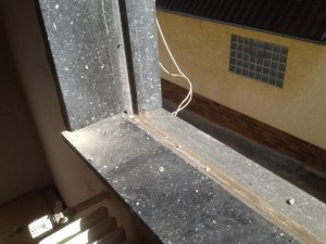 IMG_0371.jpg