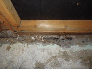 DSCN4819.jpg
