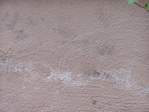 Neues Bild3.jpg