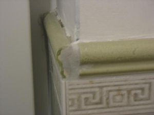 IMG_8413.jpg