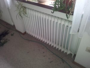20120712_101135.jpg