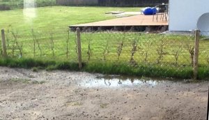 Wasser1.jpg