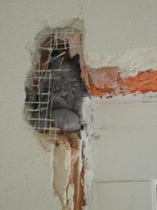 Fenster links oben.jpg