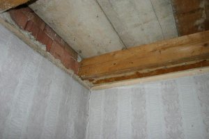 IMG_1420.jpg