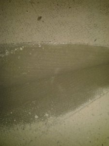 2014-01-05 17.34.26.jpg