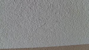 Bild 7_Fleck2.jpg
