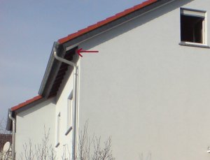 H7.jpg