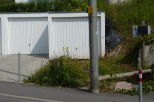 Rätsel_Juli_2010_02.jpg