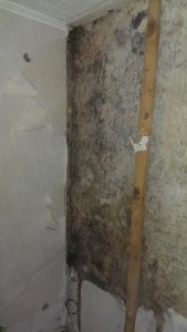 IMAG0087.jpg