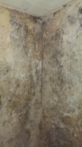 IMAG0092.jpg