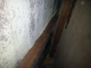 20140224_143633.jpg