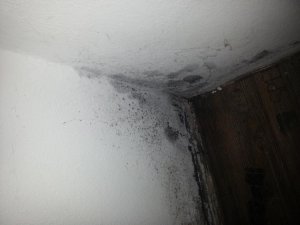20140224_152749.jpg