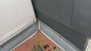 IMAG0138.jpg