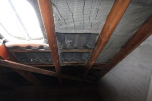 IMG_7538.jpg