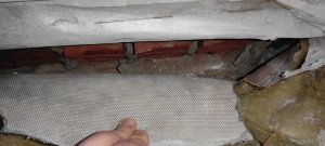 IMG_20240909_181156.jpg