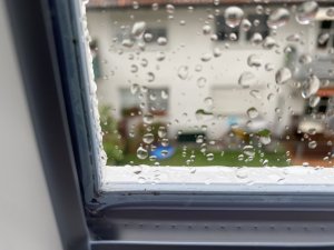 IMG_1580.jpeg