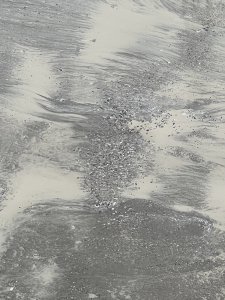 IMG_7006.jpeg