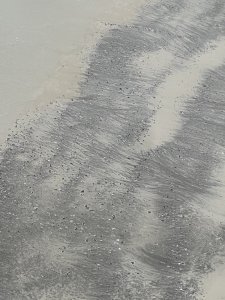 IMG_7007.jpeg