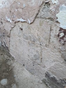 PXL_20240907_170117016.jpg