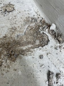 IMG_7818.jpeg