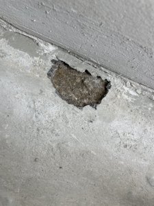 IMG_7822.jpeg