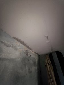 IMG_20240917_083702.jpg
