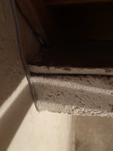 IMG_0864.jpeg