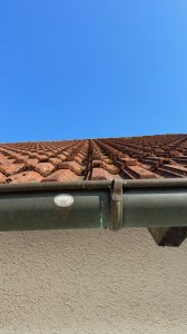 IMG_8436.jpg