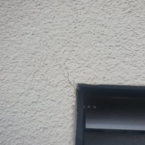 20240921_174845.jpg
